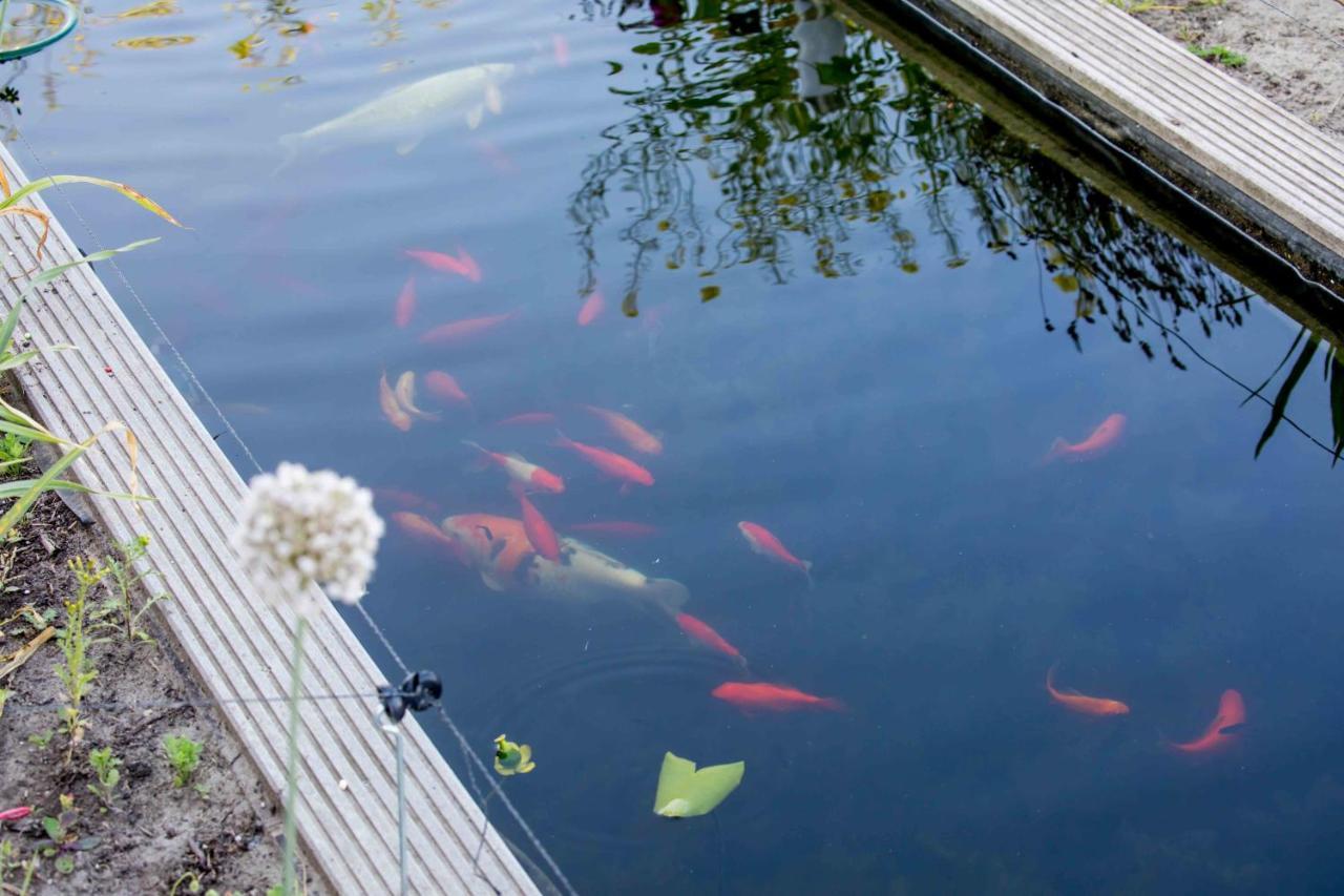 Amsterdam Area Residence Oosterwold アルメール エクステリア 写真